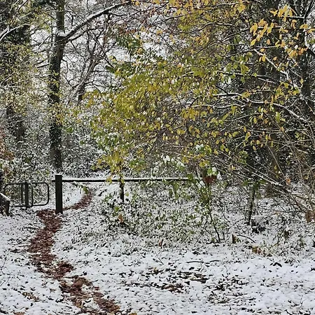 De Spil בית נופש