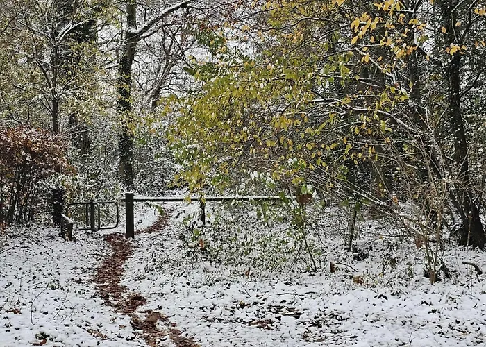 De Spil Semesterbostad